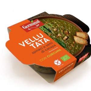 Image:  Organic soup with Spinach & Hemp seeds