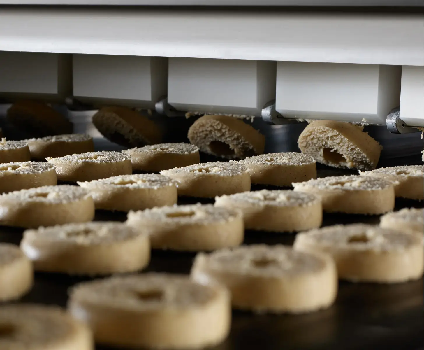 Produzione biscotti vegan