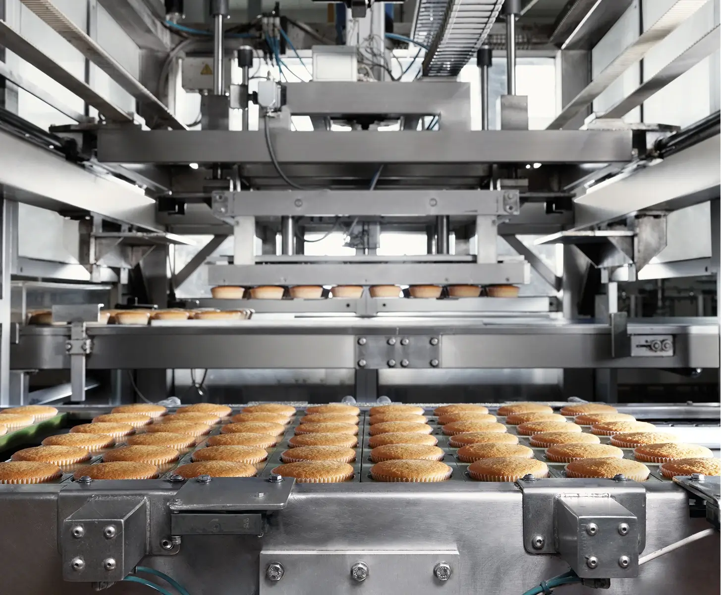 Produzione biscotti e merende biologiche