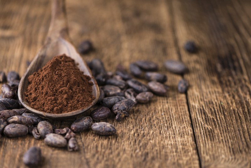 Cacao in polvere: scopri come si ricava! Polvere in casa