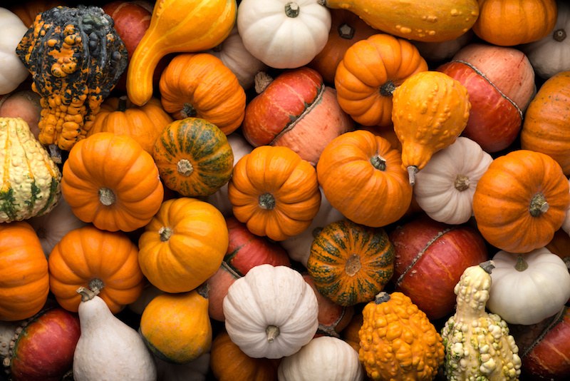 La stagione della zucca: come prepararla a cena?