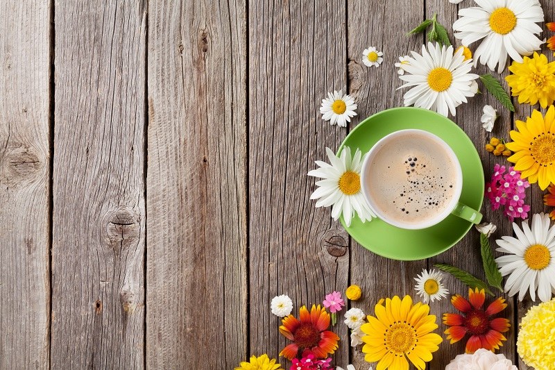 Colazione primaverile: risveglia la tua creatività in cucina!