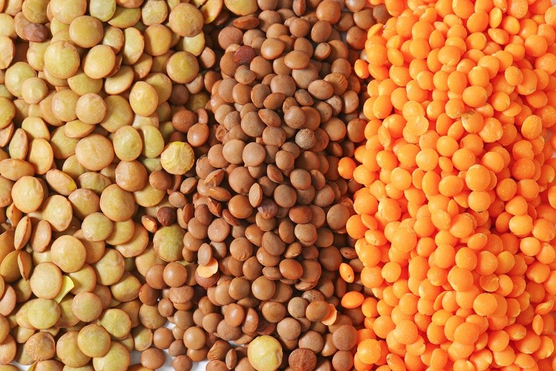 Cosa sono le lenticchie? Scoprilo!