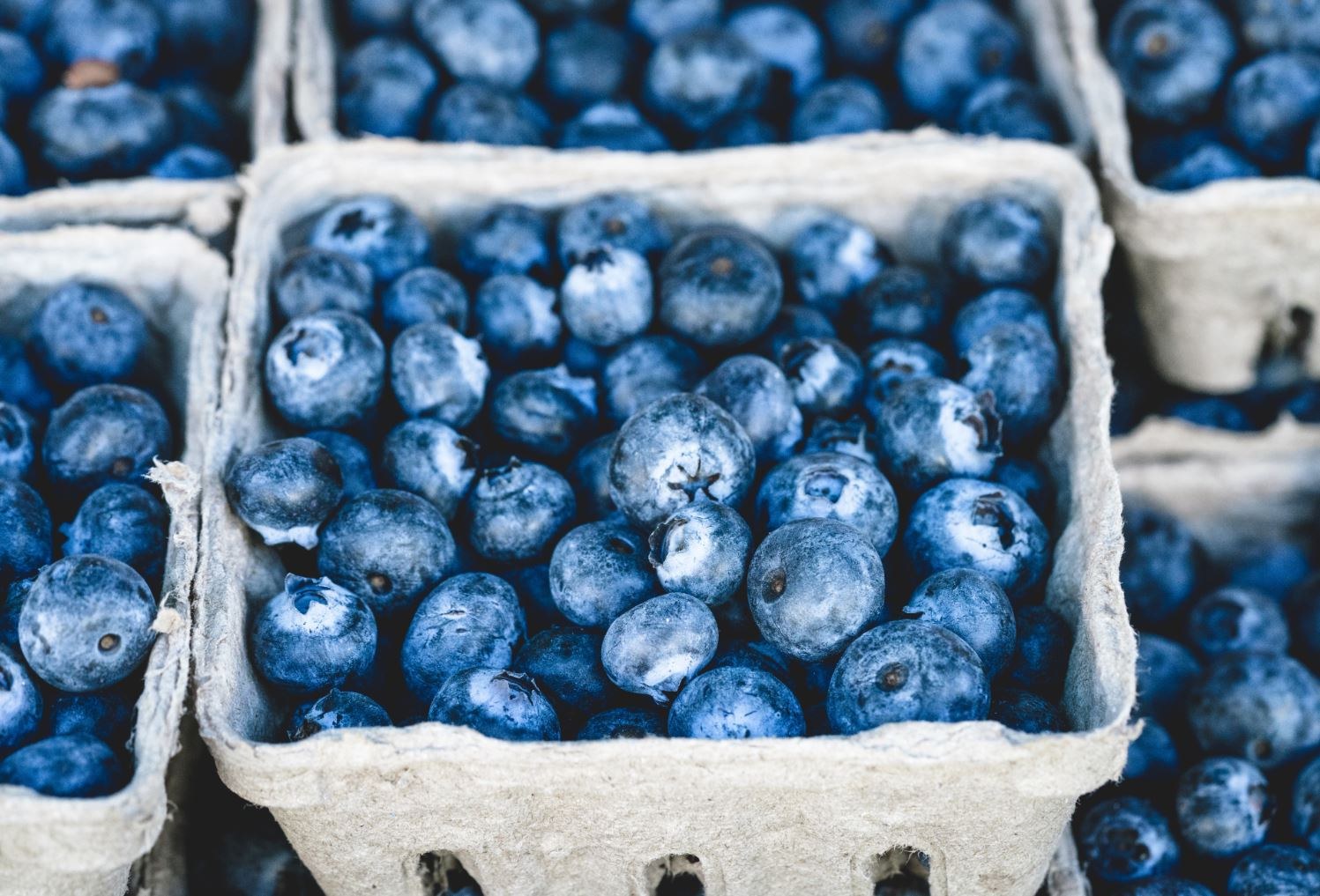 Ricette con i mirtilli: come consumarli… con gusto!