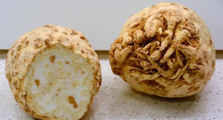 Sedano rapa: alla scoperta di questo ortaggio
