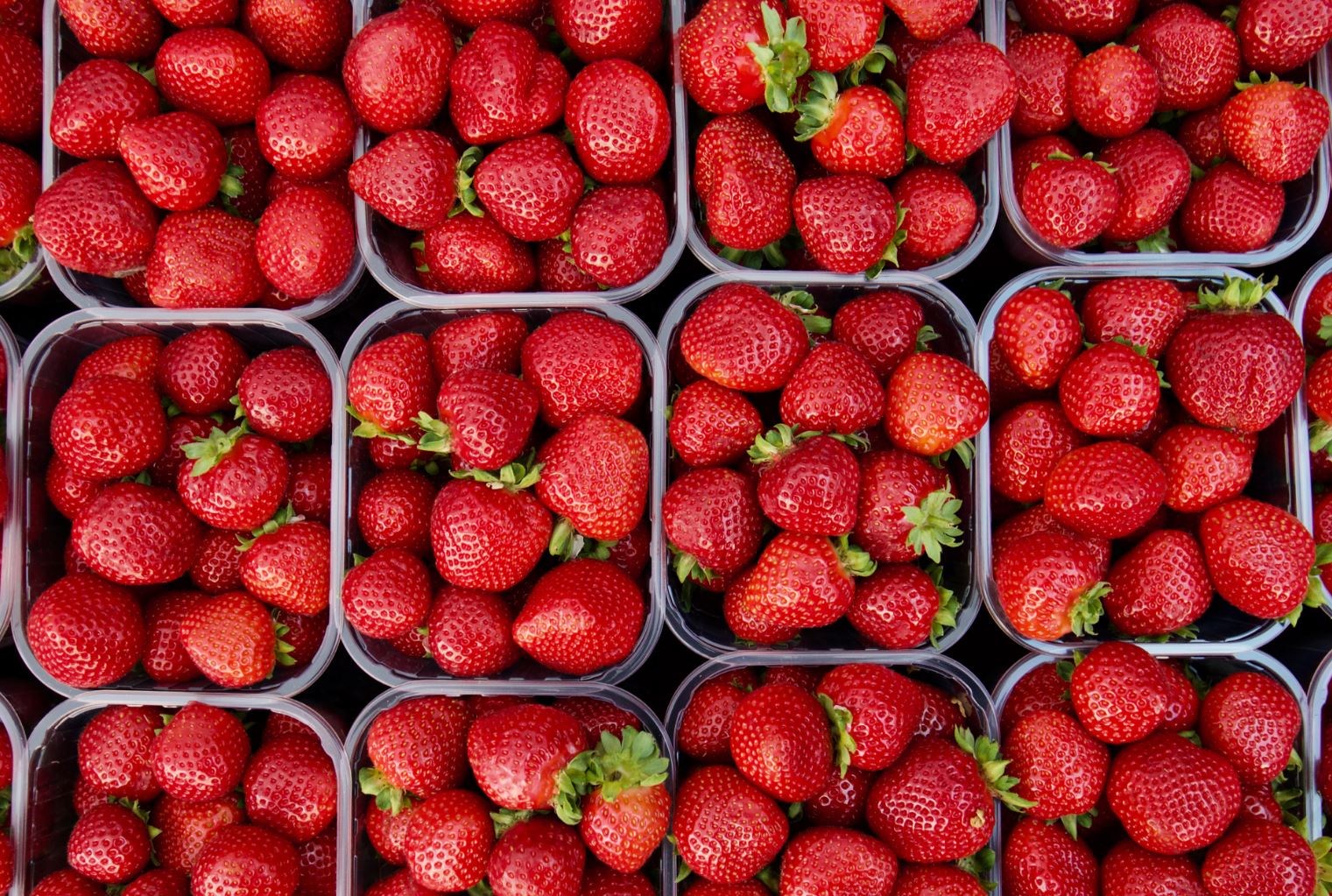 Alcune curiosità che forse non sai sulle fragole