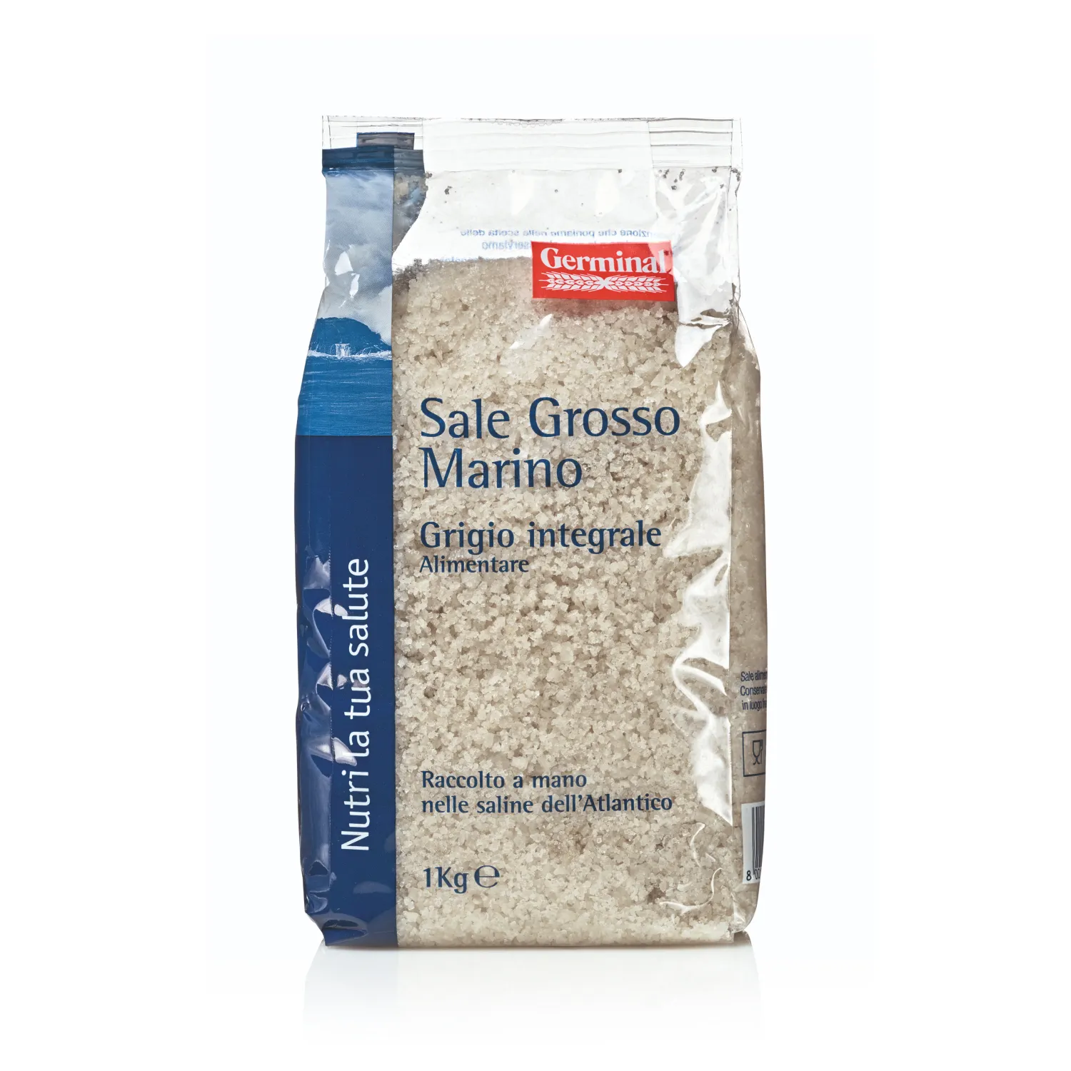 Sale grosso grigio integrale dell'Atlantico