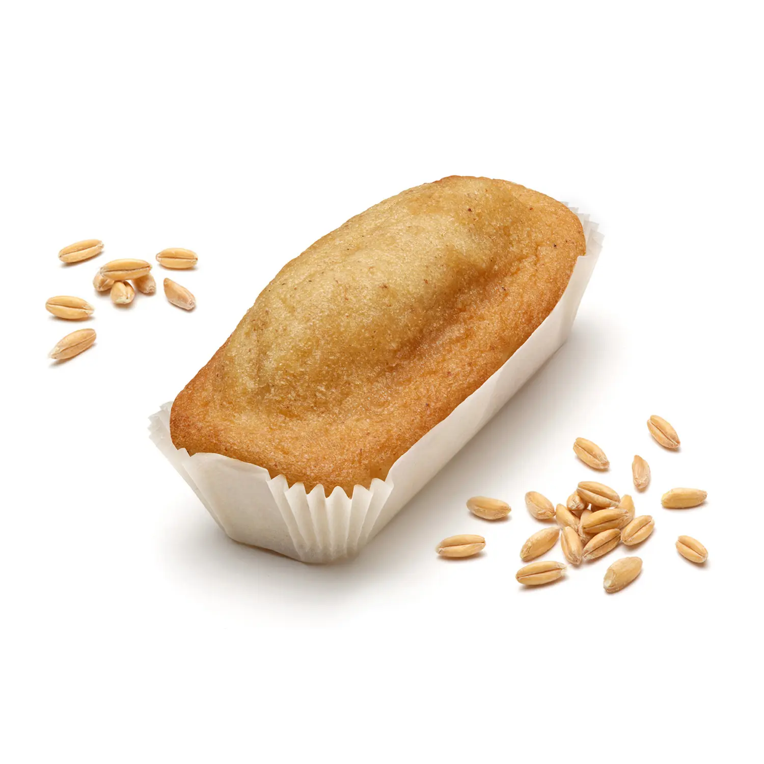 Plumcake integrale