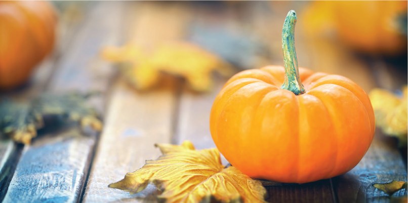 I prodotti di ottobre: quinoa, nocciola, zucca