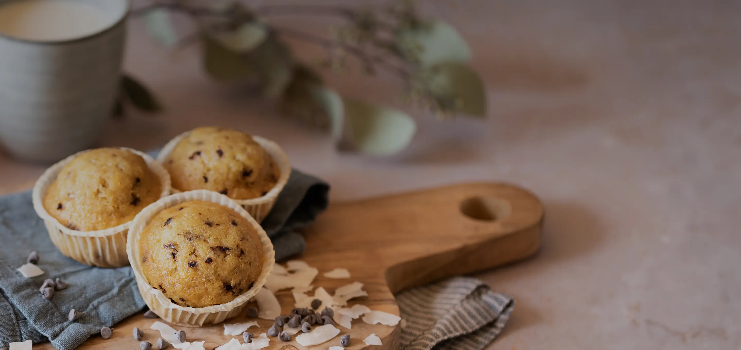 Festa del cioccolato con Germinal Bio